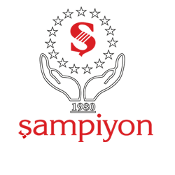 ŞAMPİYON GRUP